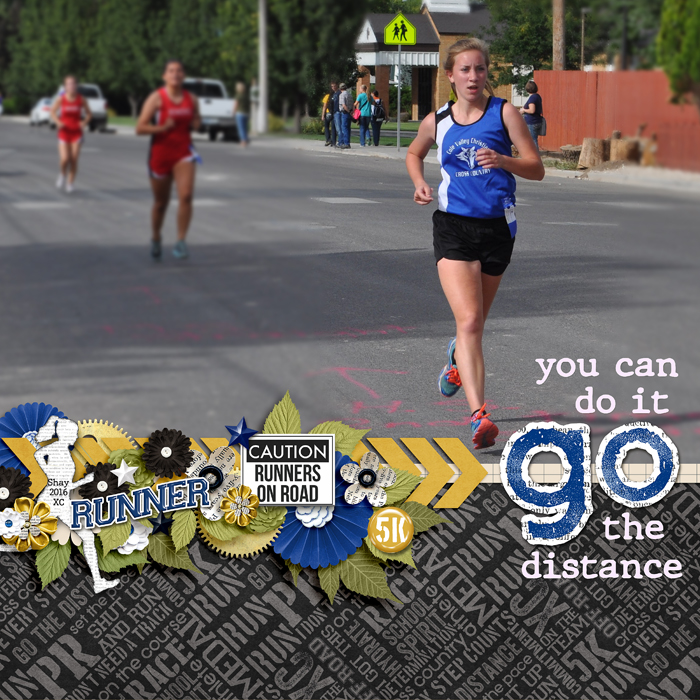 Go the Distance