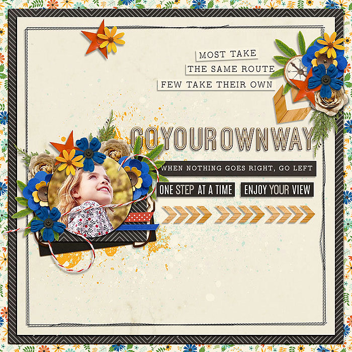 Go Your Own Way