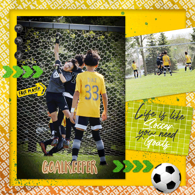 Goalkeeper - My Favorite Player