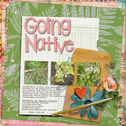 Going Native
