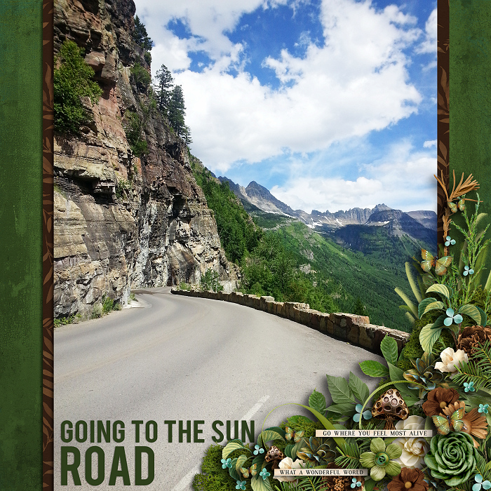 Going to the Sun Road