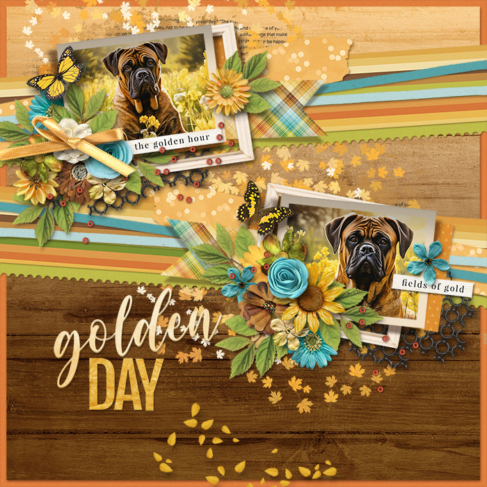 Golden Day