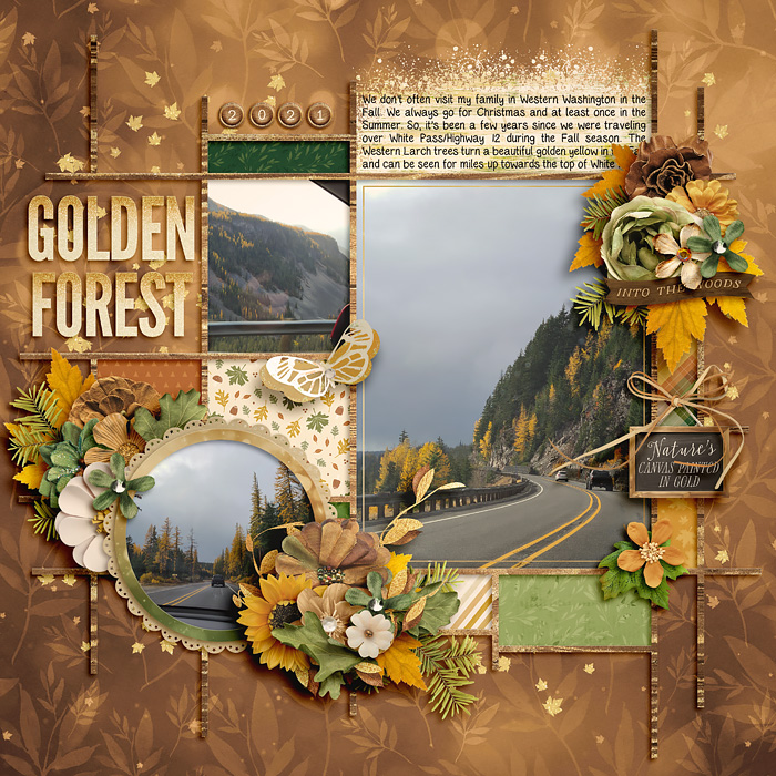 Golden Forest