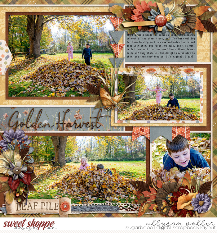 Golden Harvest Right