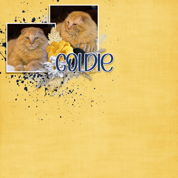 Goldie - This or That:  White Space