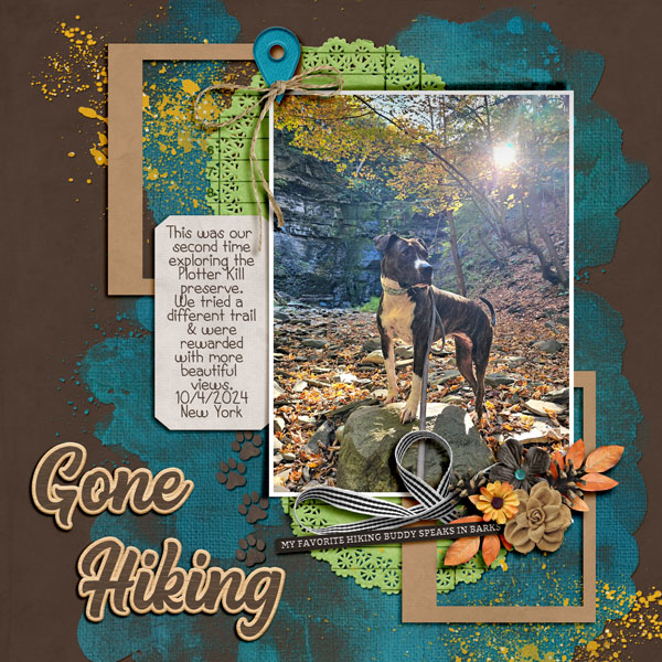 Gone Hiking