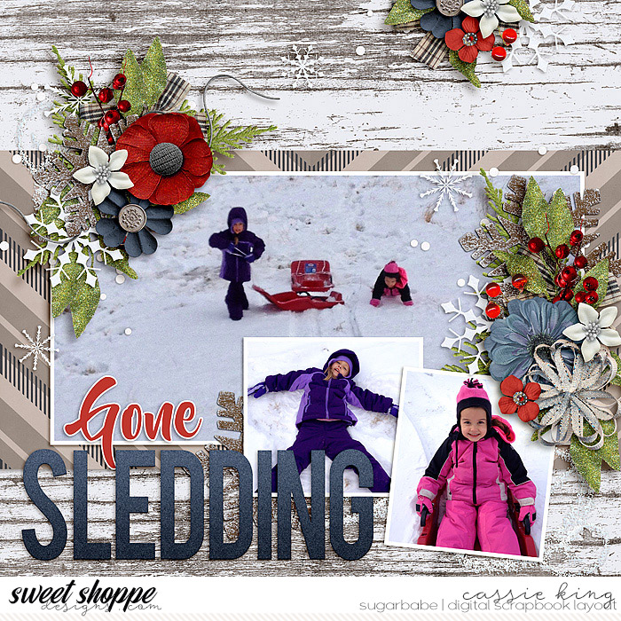 Gone Sledding