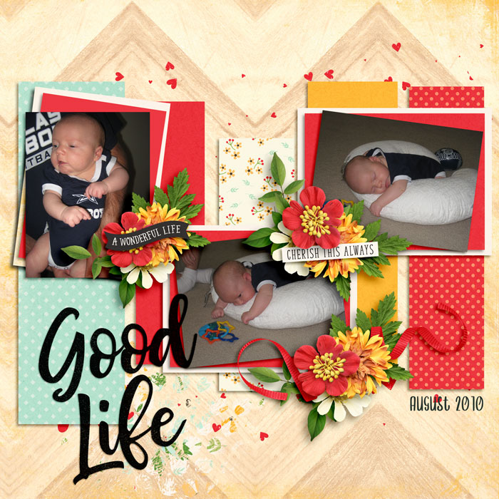 Good Life 2010