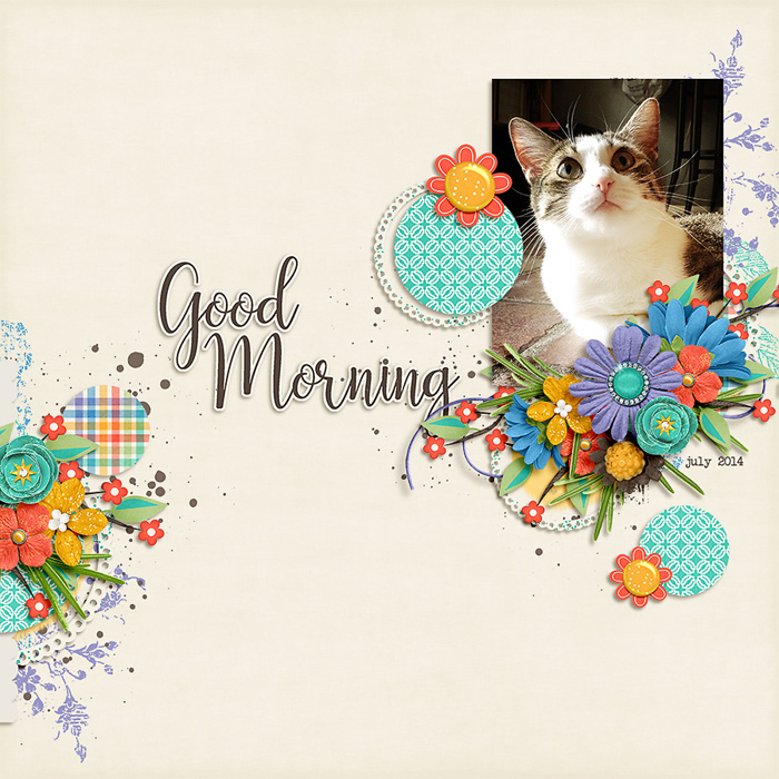 good morning