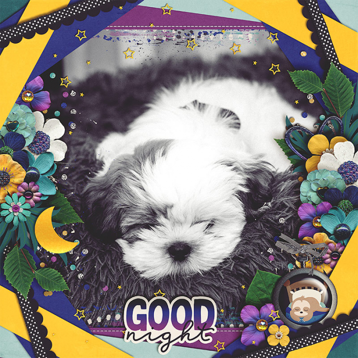 Good-night-800
