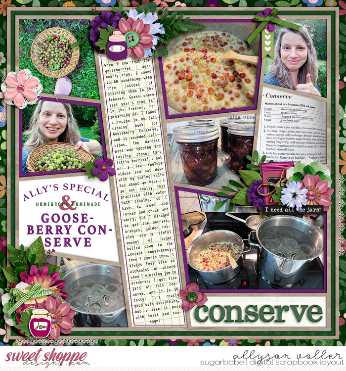 Gooseberry Conserve