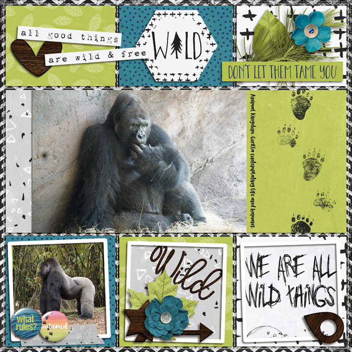 Gorilla