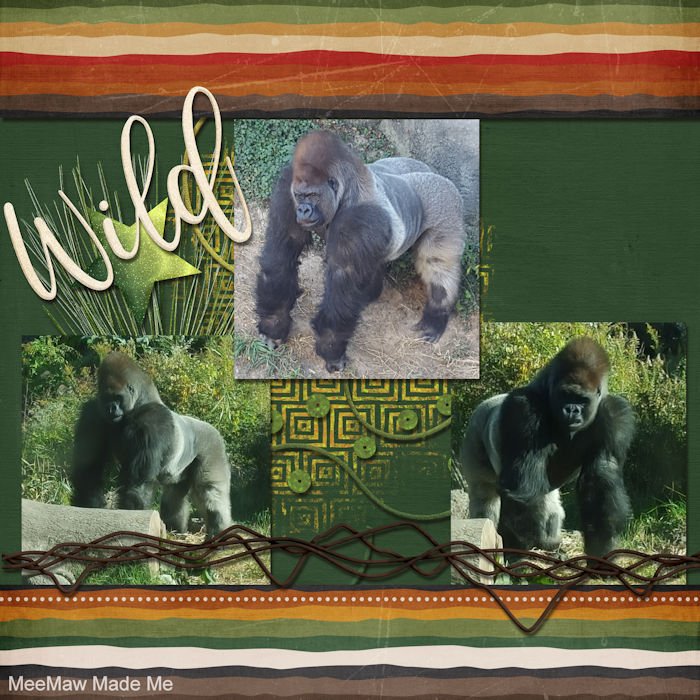 Gorillas
