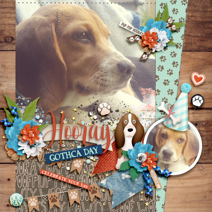 Gotcha Day