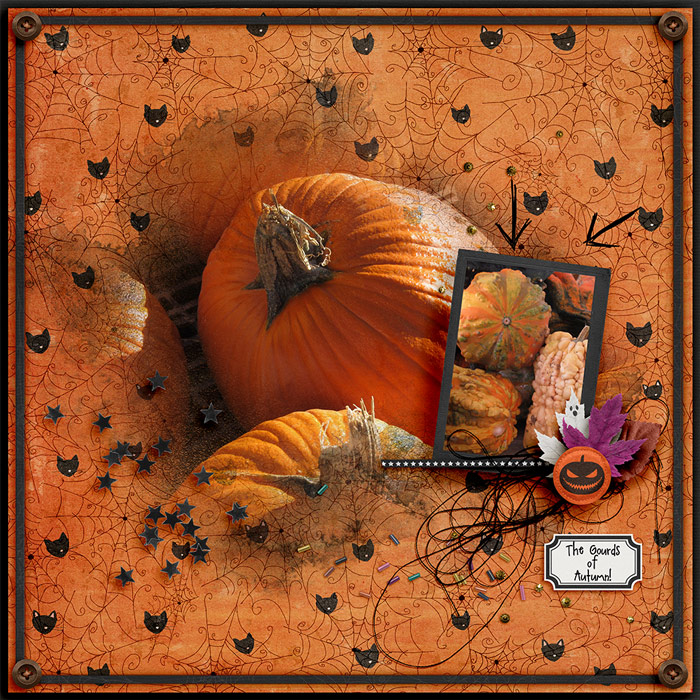 Gourds