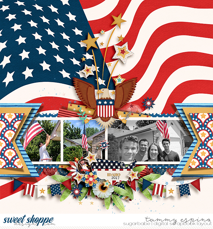 grand old flag