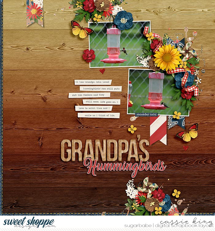 Grandpa's Hummingbirds
