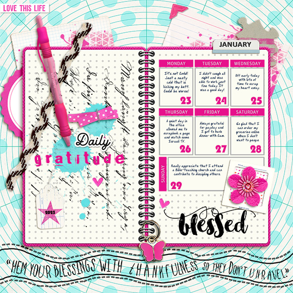 Gratitude Journal Week of 1/23/23