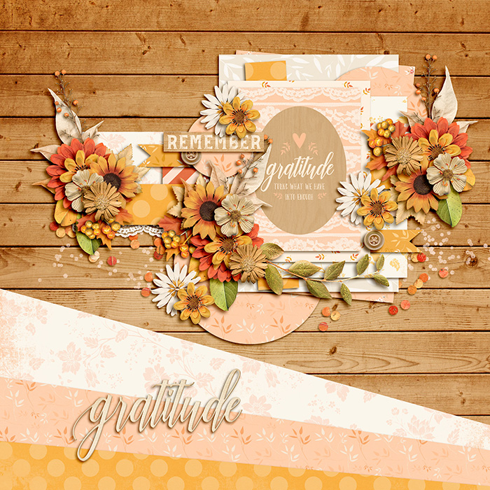 Gratitude