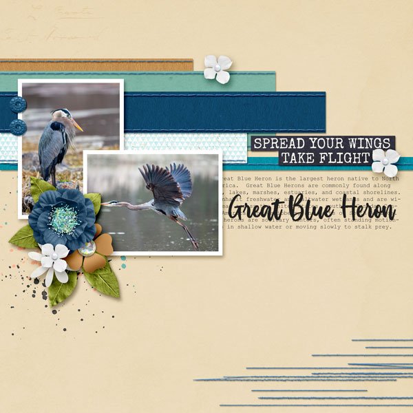Great-Blue-Heron