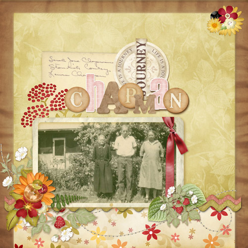 Great Great Grandmother Sarah Jane Chapman et.al.