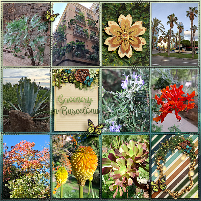 Greenery In Barcelona