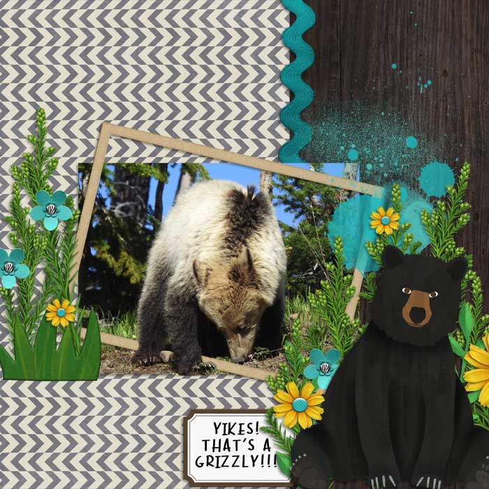 Grizzly