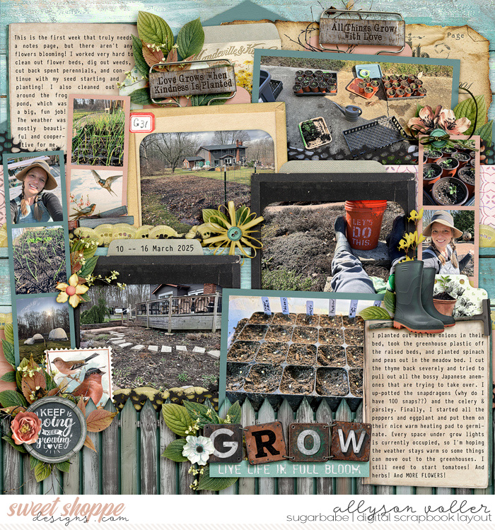Grow: Garden notes week 11