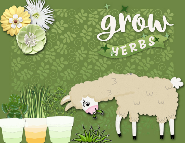 grow herbs
