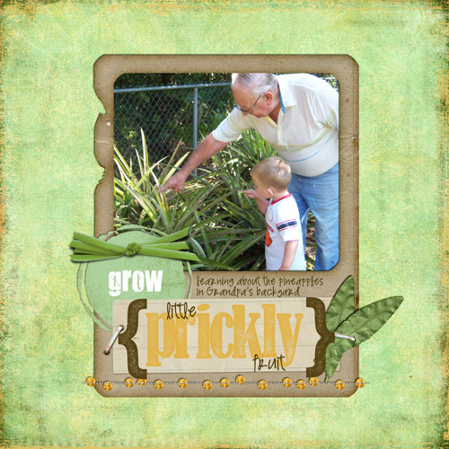 Grow Pineapple