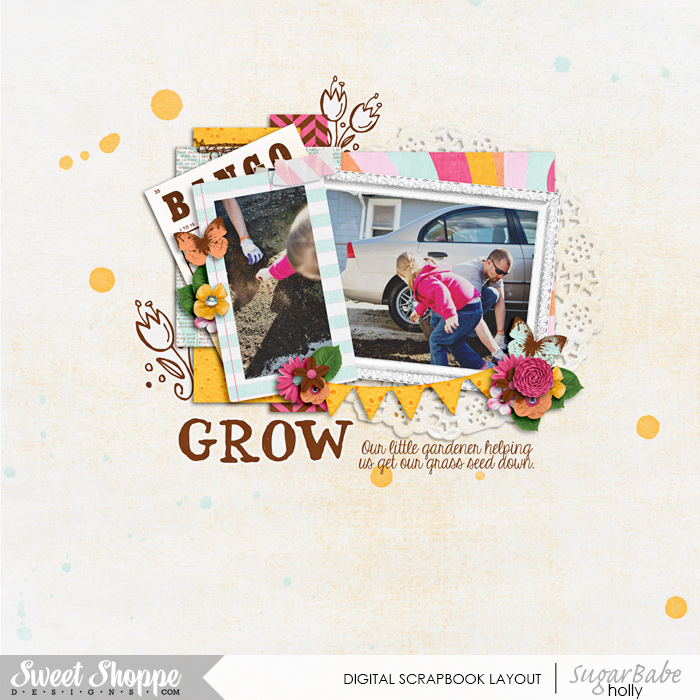 Grow Seeds