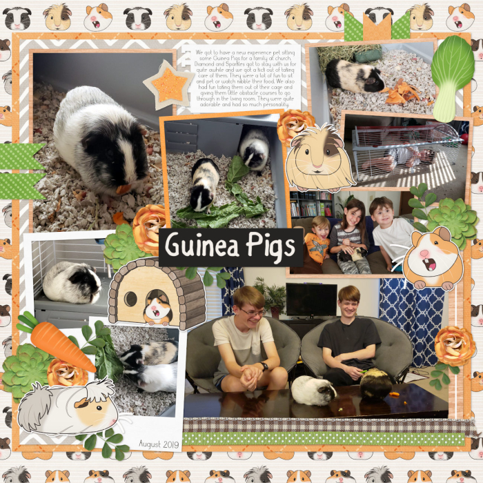 Guinea Pigs