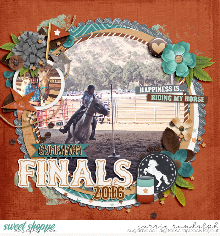 Gymkhana Finals 2016