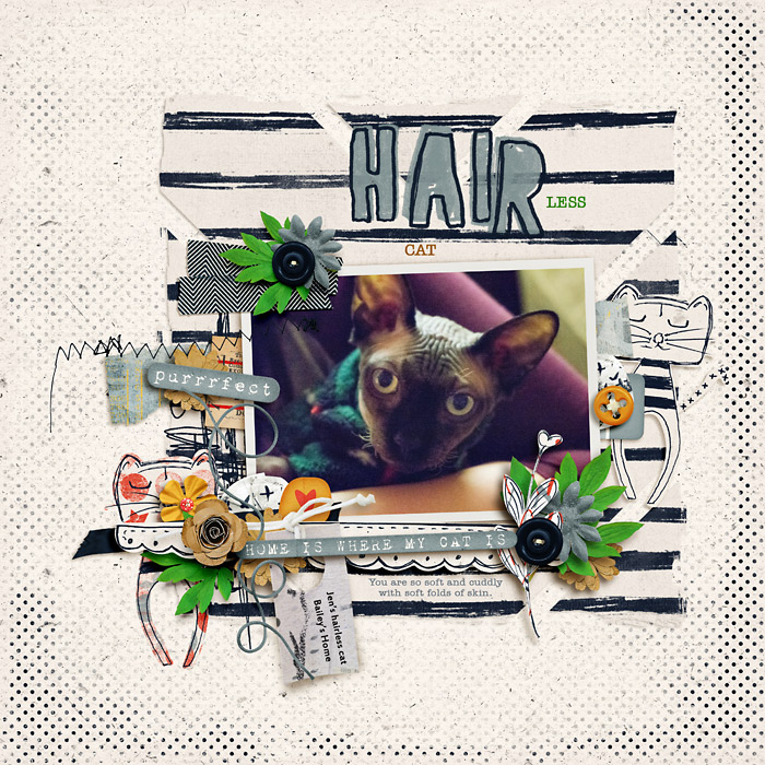 Hairless Cat