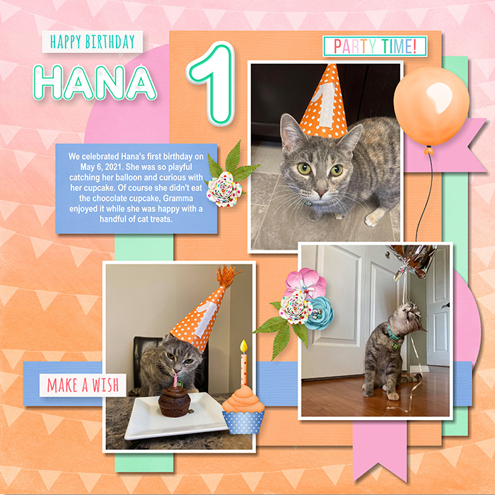 Hana's 1st Birthday