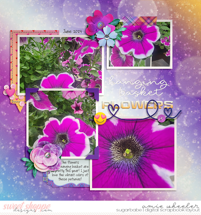 Hanging Basket Flowers