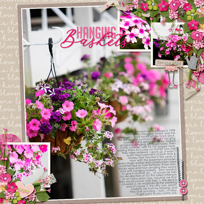 Hanging Baskets