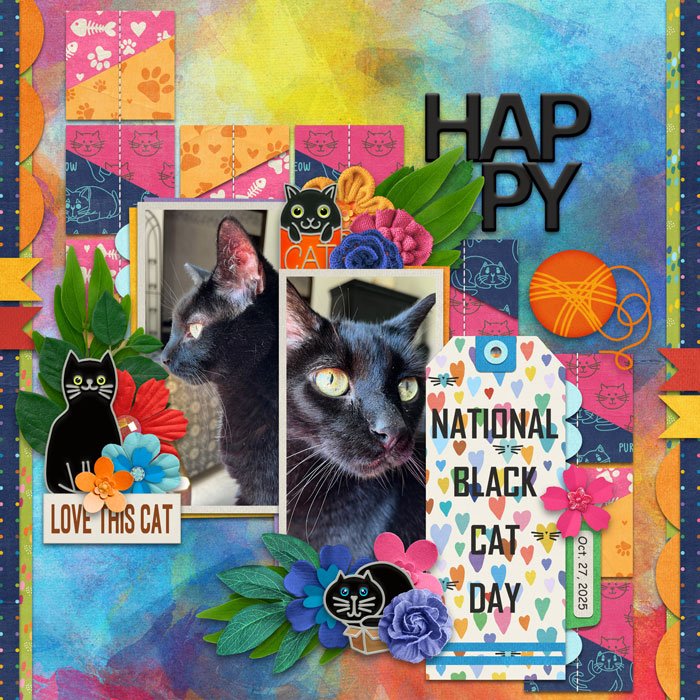 Happy Black Cat Day