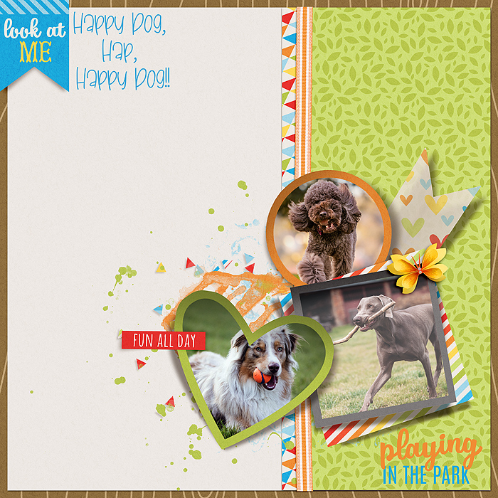 Happy Dog, Hap, Happy Dog!