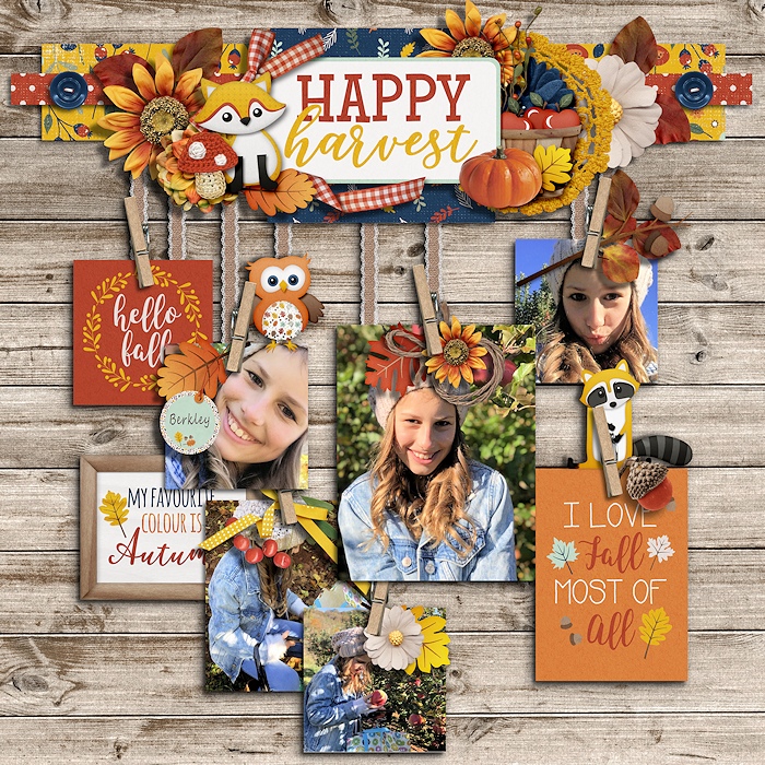 Happy Harvest