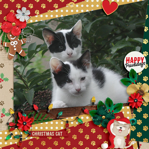 Happy Pawlidays