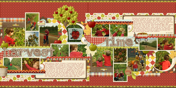 Harvest Time