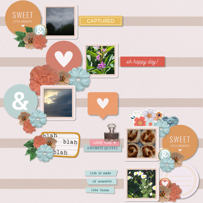 Hawaii: week documented