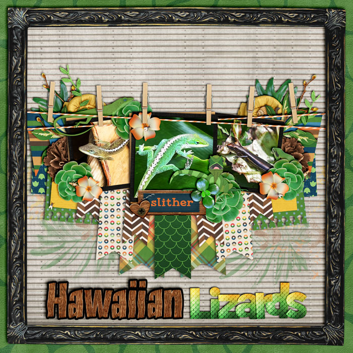 Hawaiian Lizards