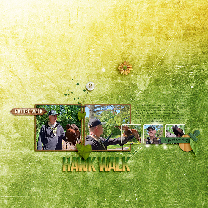 Hawk Walk