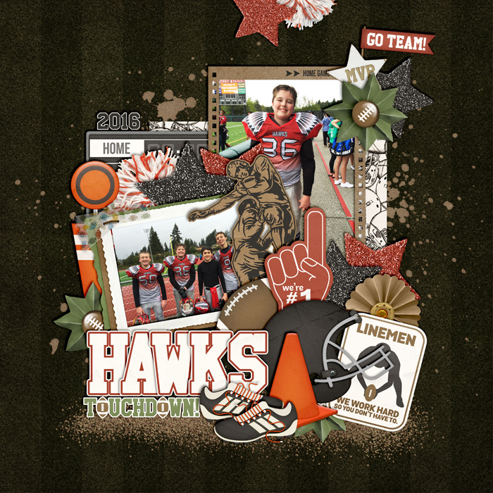 Hawks2016
