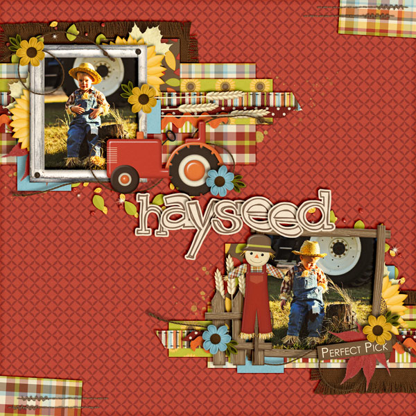 Hayseed