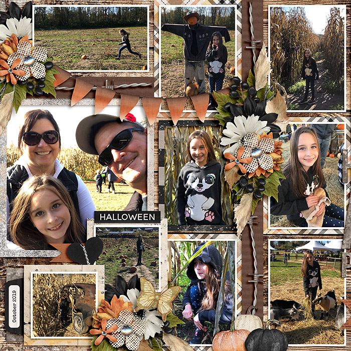 Hazelmere Pumpkin Patch (left side)