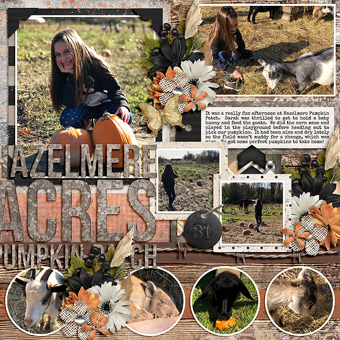 Hazelmere Pumpkin Patch (right side)