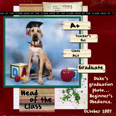 Head of the Class